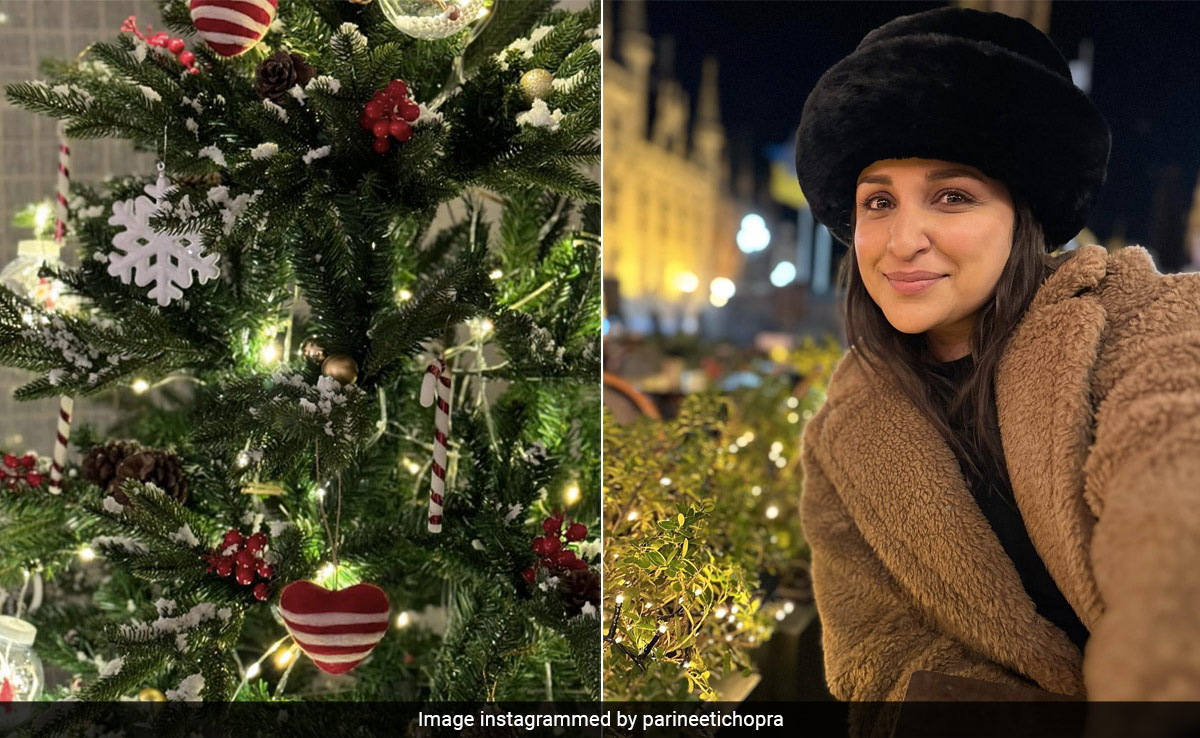 Parineeti Chopra's Christmas 2023 Home Decor Looks Very Merry For Her First Married Christmas