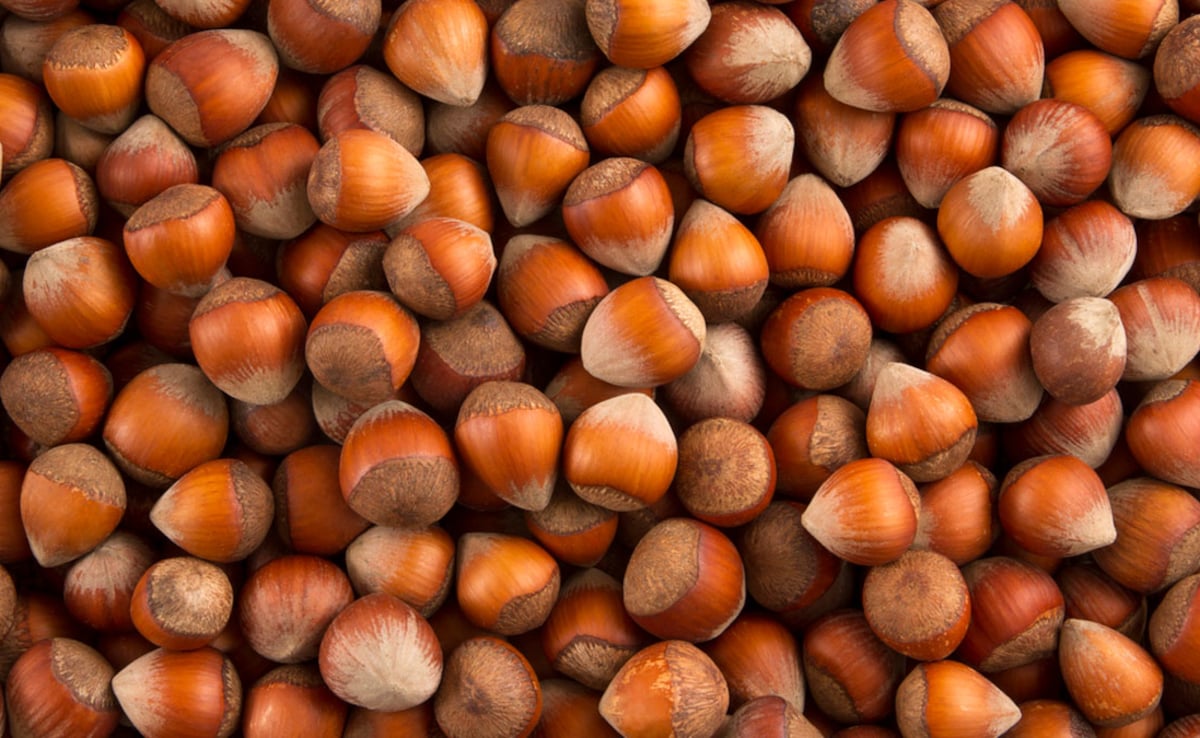 बादाम और अखरोट नहीं बल्कि इस एक सूखे मेवे में है सेहत का खजाना