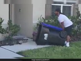 US Man Uses Garbage Can To Trap An Alligator. Old Video Goes Viral Again US Man Uses Garbage Can To Trap An Alligator. Old Video Goes Viral Again