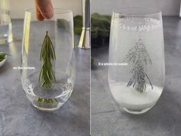 Viral Now: Snow Globe Cocktail Wows Internet - How To Make It At Home Viral Now: Snow Globe Cocktail Wows Internet - How To Make It At Home