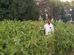 'धान के कटोरा' में संजय करते हैं ऑर्गेनिक खेती, IAS-IPS से लेकर सेलेब्रिटी और वैज्ञानिक भी खाते हैं इनके चावल 'धान के कटोरा' में संजय करते हैं ऑर्गेनिक खेती, IAS-IPS से लेकर सेलेब्रिटी और वैज्ञानिक भी खाते हैं इनके चावल