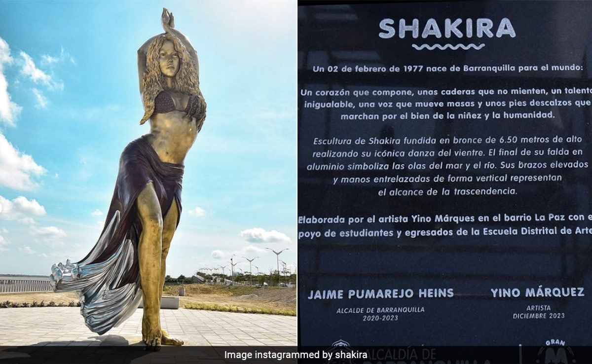 Shakira Statue's Plaque Attracts Internet's Attention. Here's Why