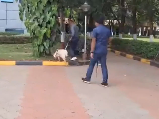 Video: Sniffer Dogs, Bomb Squads At Schools In Bengaluru After Bomb Threat