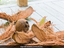 नारियल के छिलके से इस तरह बना लीजिए हेयर डाई, सफेद बाल हो जाते हैं काले नारियल के छिलके से इस तरह बना लीजिए हेयर डाई, सफेद बाल हो जाते हैं काले