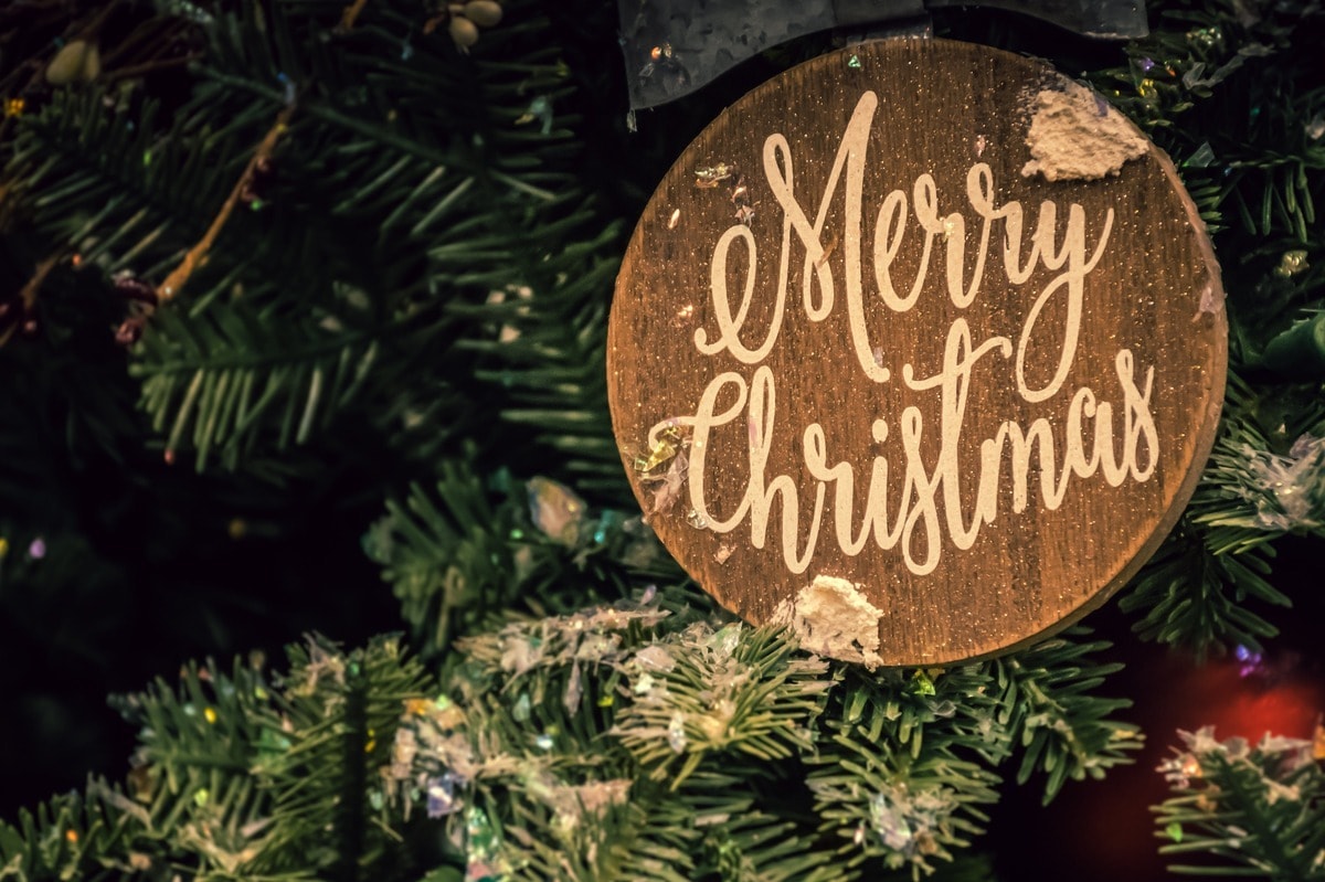 Merry Christmas 2023: Kusha Kapila, Jamie Lever, Chandni Bhabhda, and Others Extend Wishes For the Day