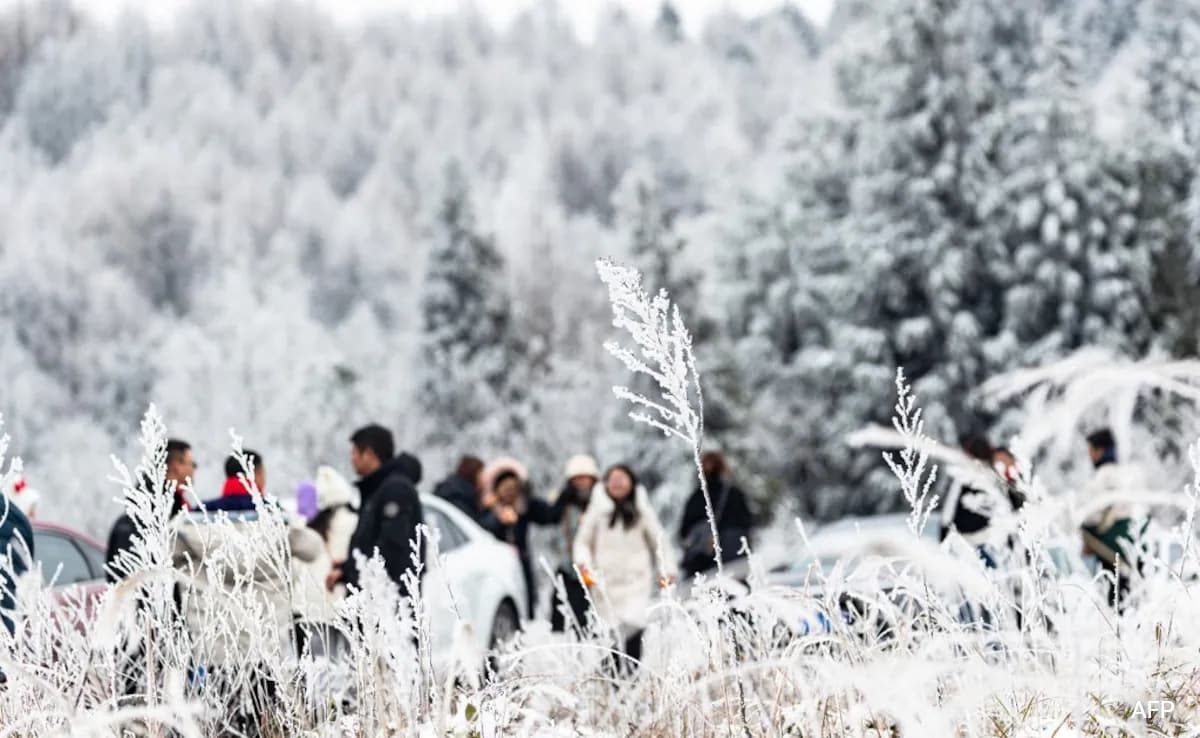Survivors Battle Sub-Zero Temperatures As China Earthquake Death Count Hit 131