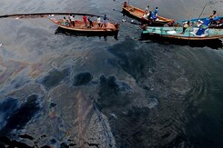 "Will Ensure This Never Happens": Tamil Nadu Official On Chennai Oil spill "Will Ensure This Never Happens": Tamil Nadu Official On Chennai Oil spill
