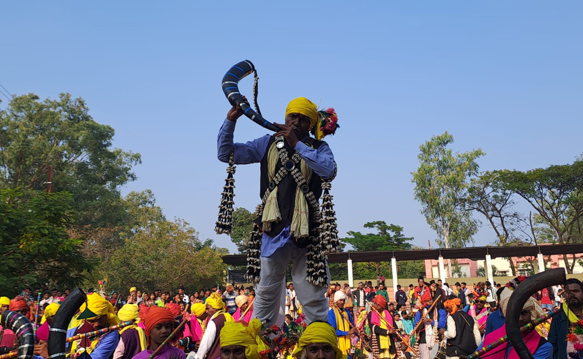 बैतूल में आदिवासियों ने मनाई 'नाग दिवाली', बिखेरे सांस्कृतिक कलाओं के रंग