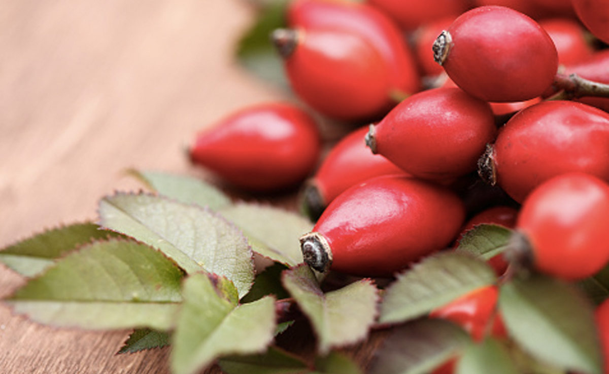 What Are Rose Hips? Here's How You Can Use Them To Boost Your Health