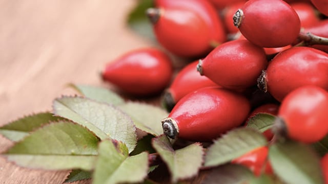 The antioxidants found in rose hips help reduce inflammation and protect the cardiovascular system