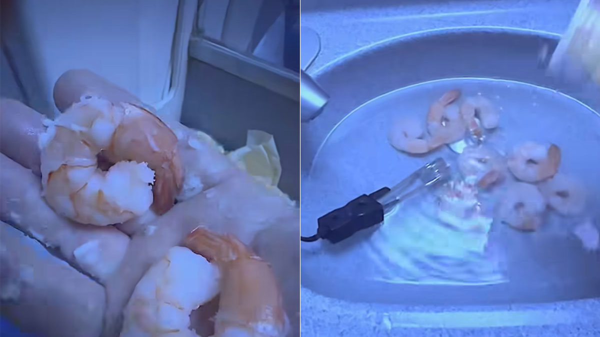 Viral Video: Man Cooks Shrimp Inside Plane's Washroom, Internet Disgusted