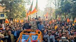 Lies Don't Get You Votes, Work Does: BJP Chief JP Nadda Jabs Congress