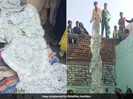 दूल्हे ने पहनी 500 रुपये के नोटों वाली विशालकाय माला, लोग बोले- कहां से आया इतना कालाधन, पूरी कीमत जान उड़ जाएंगे होश दूल्हे ने पहनी 500 रुपये के नोटों वाली विशालकाय माला, लोग बोले- कहां से आया इतना कालाधन, पूरी कीमत जान उड़ जाएंगे होश