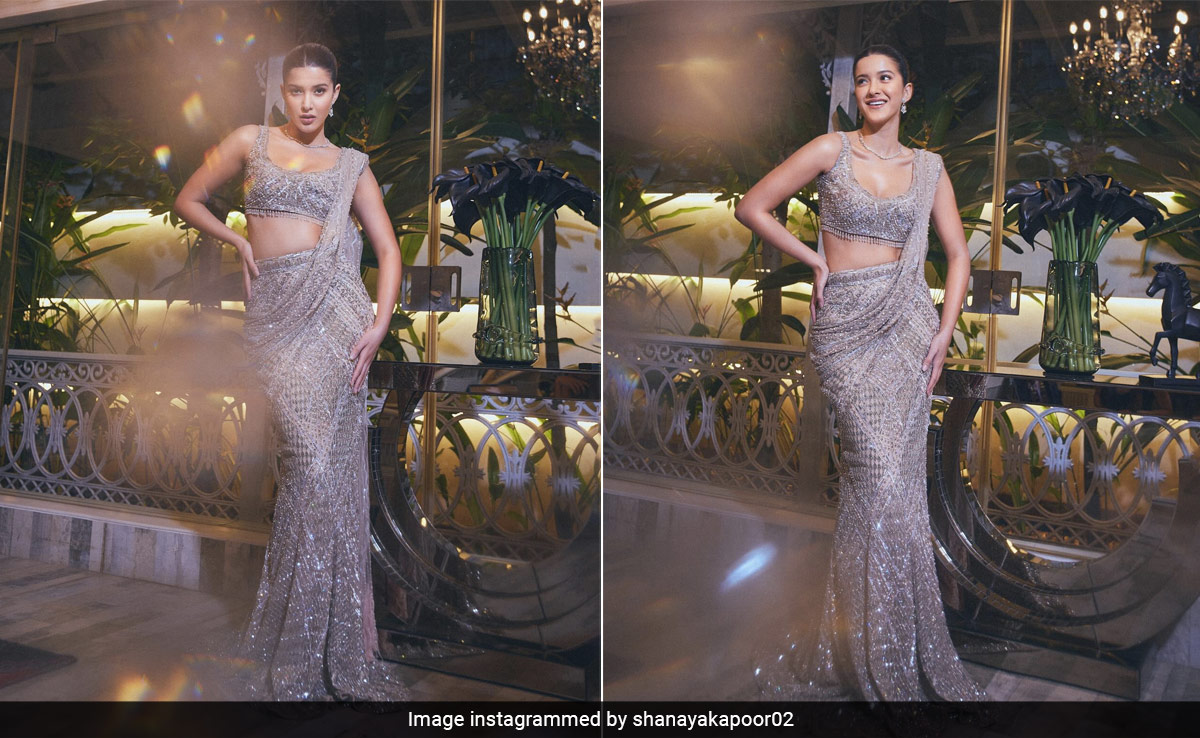 Shanaya Kapoor Shines Brighter Than The Stars In A Falguni Shane Peacock <i>Saree</i>