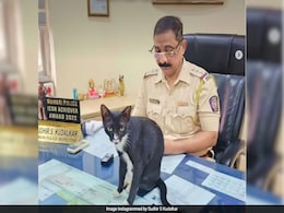 Watch: Sleepy Cat Takes Over Senior Inspector's Seat In Mumbai Police Station Watch: Sleepy Cat Takes Over Senior Inspector's Seat In Mumbai Police Station