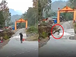 सड़क पर पैदल चल रहे शख्स के सामने अचानक आ धमका टाइगर और फिर.. सड़क पर पैदल चल रहे शख्स के सामने अचानक आ धमका टाइगर और फिर..