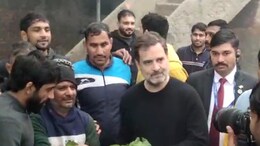 Jiu-Jitsu, Workout, Bajre Ki Roti: Rahul Gandhi Meets Protesting Wrestlers