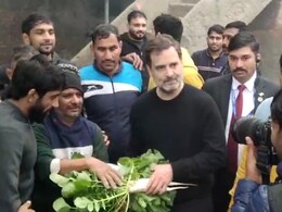 Jiu-Jitsu, Workout, Bajre Ki Roti: Rahul Gandhi Meets Protesting Wrestlers