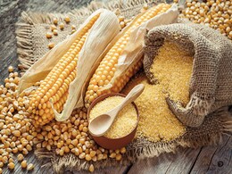 Corn Benefits: कैंसर से लेकर इन बीमारियों से बचाता है मक्का, डायटीशियन ने बताए इसके फायदे...  Corn Benefits: कैंसर से लेकर इन बीमारियों से बचाता है मक्का, डायटीशियन ने बताए इसके फायदे...