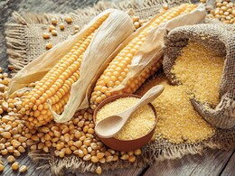 Is Corn Flour On Your Plate Harming More Than Helping? Experts Weigh In