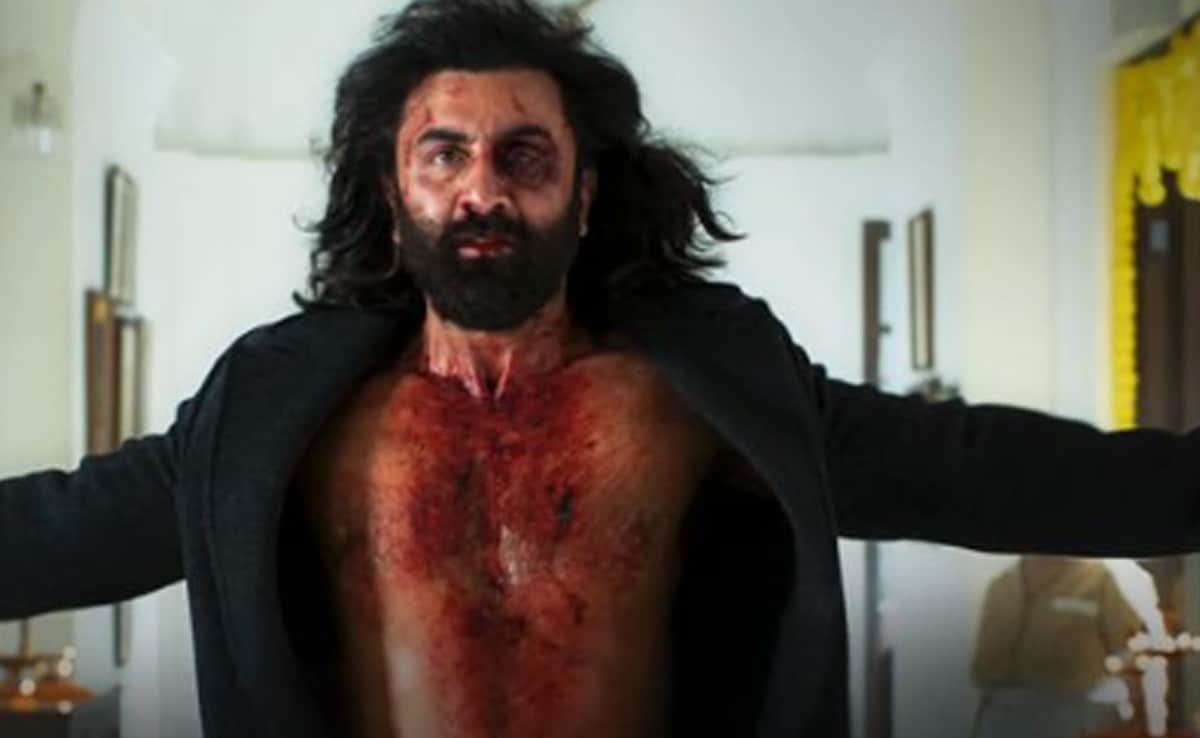 <i>Animal</i> Box Office Collection Day 13: Another Milestone Incoming For Ranbir Kapoor's Film
