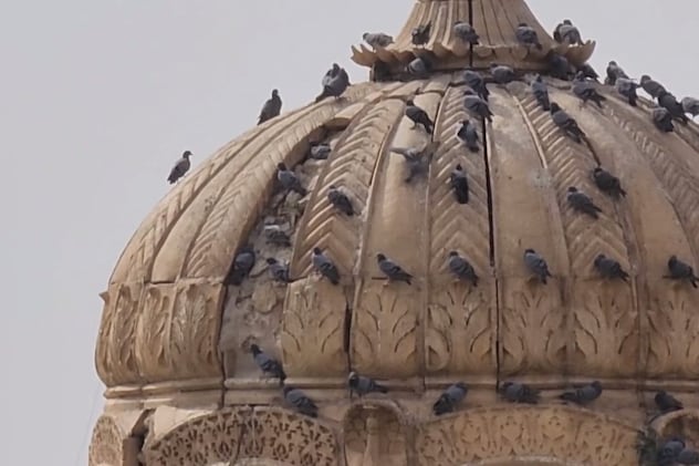 Latest and Breaking News on NDTV