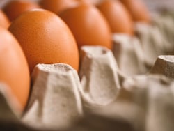 Egg Prices Up 40%: How E20 Fuel Policy Is Making Breakfast Costlier