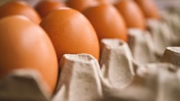 Egg Prices Up 40%: How E20 Fuel Policy Is Making Breakfast Costlier