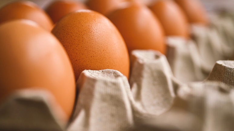 Egg Prices Up 40%: How E20 Fuel Policy Is Making Breakfast Costlier