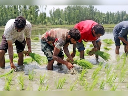 PM Kisan Yojana: 38 हजार किसानों को नहीं मिलेगा लाभ, तीन तरीकों से करवा सकते हैं e-KYC