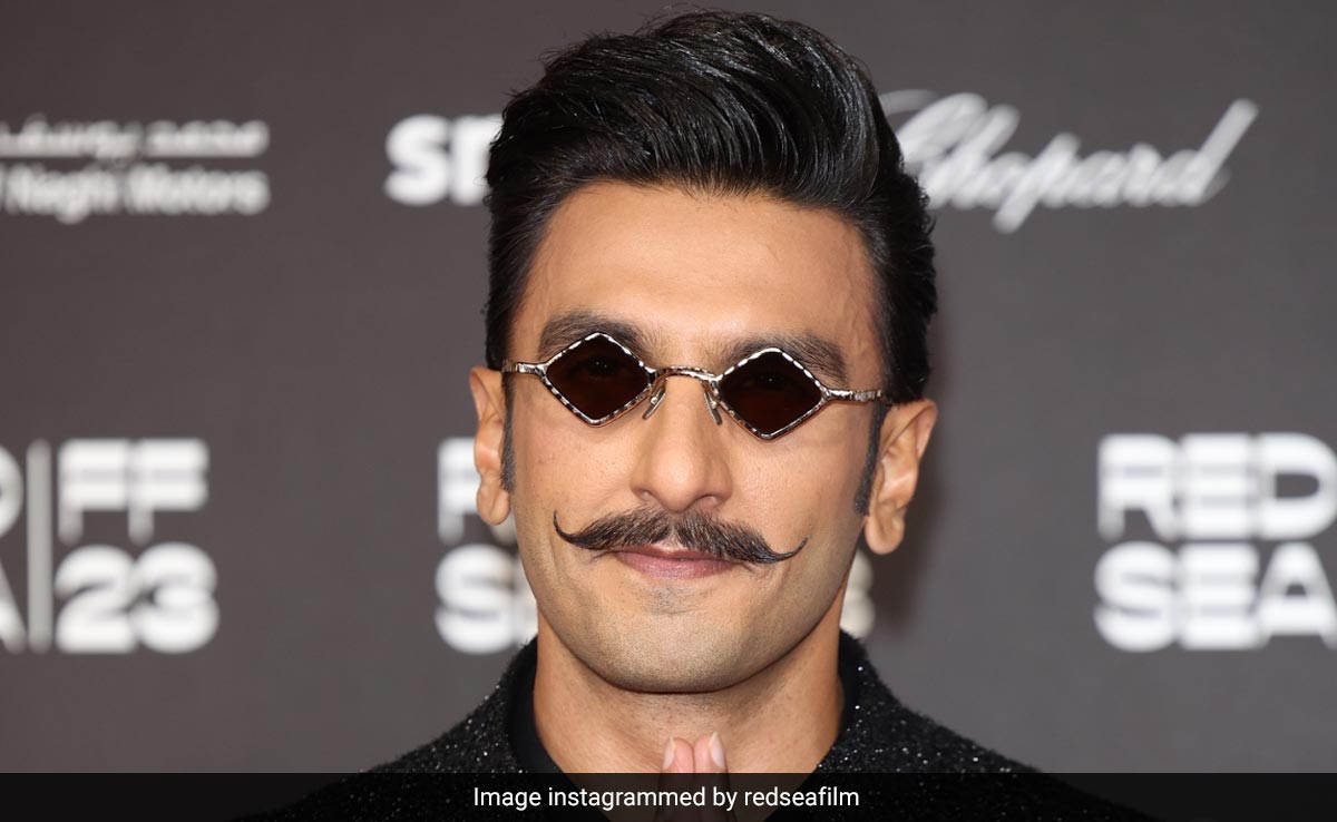 Ranveer Singh On "Skepticism" Over <i>Don 3</i> Announcement: "This Is Only Natural"