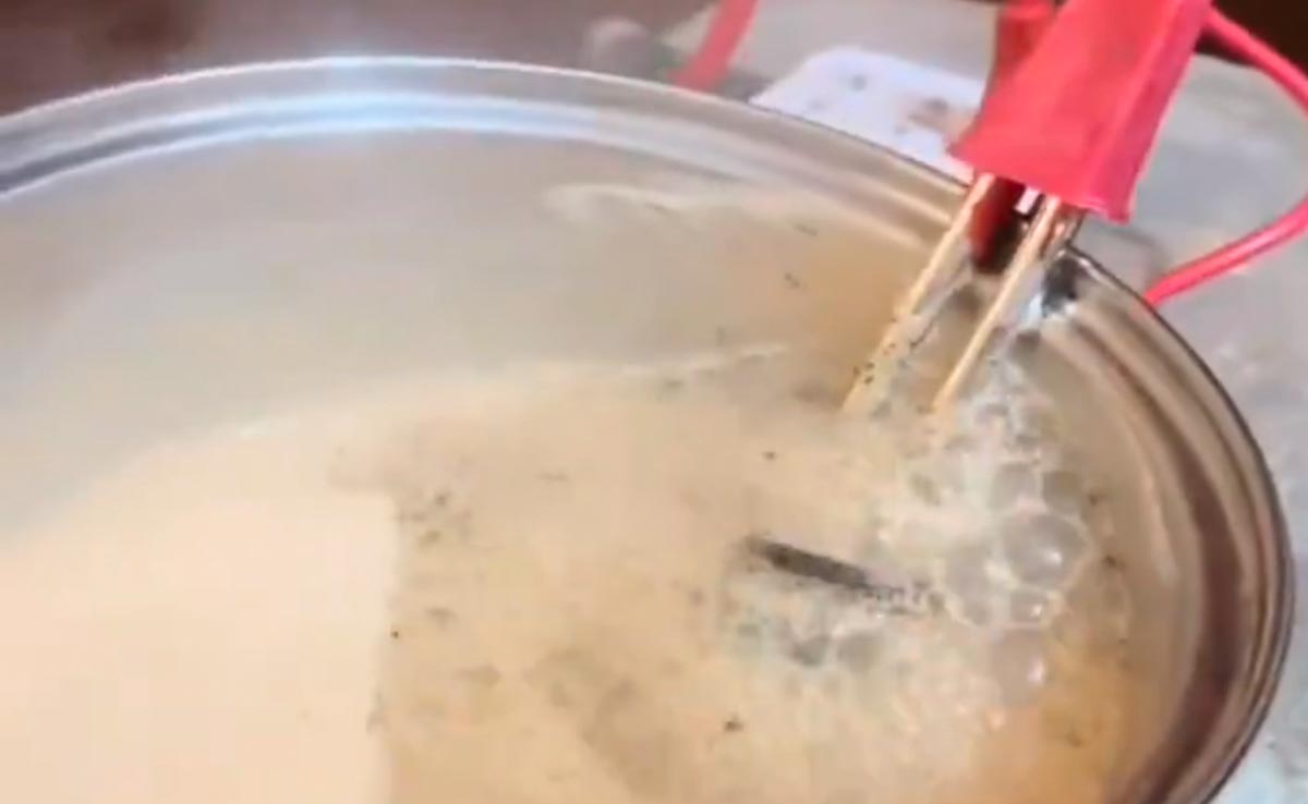 चाय प्रेमियो के लिए हॉस्टल वाला जुगाड़, पानी गर्म करने वाली रॉड से बना ली TEA