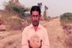 एमपी के धार में सालों से लोग कर रहे थे जिस पत्थर की पूजा वो निकला डायनासोर का अंडा एमपी के धार में सालों से लोग कर रहे थे जिस पत्थर की पूजा वो निकला डायनासोर का अंडा