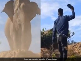 Video : जंगली हाथी को चप्पलों से डराने की कोशिश कर रहे थे युवक, X पर कई यूजर्स हुए नाराज  Video : जंगली हाथी को चप्पलों से डराने की कोशिश कर रहे थे युवक, X पर कई यूजर्स हुए नाराज