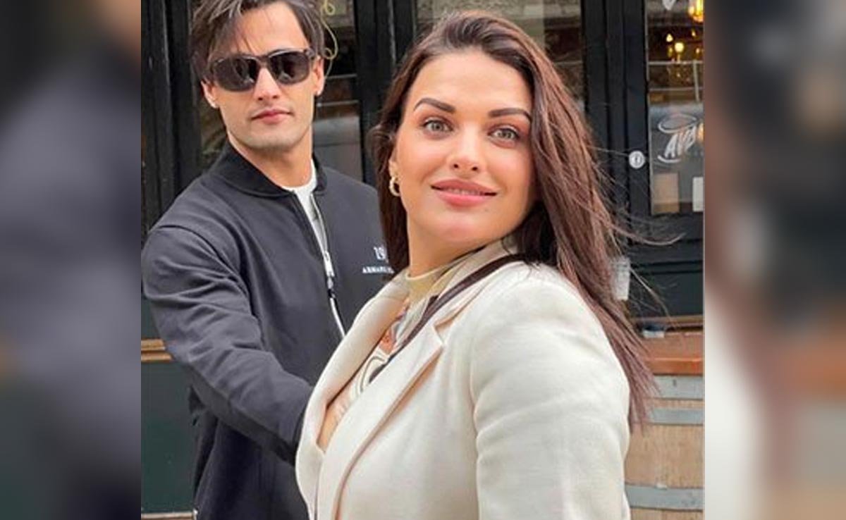 Himanshi Khurana And Asim Riaz Breakup After 4 Years: "No Hate Only Love"