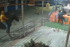 Two Men On Horse Try To Steal Temple Donation Box, This Is What Happened Next Two Men On Horse Try To Steal Temple Donation Box, This Is What Happened Next