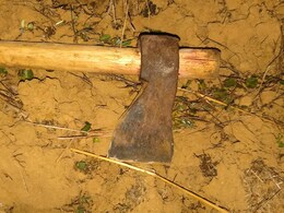 भाई ने कुल्हाड़ी मारकर किया दूसरे भाई का क़त्ल, लकड़ी काटने को लेकर हुई थी बहस! 