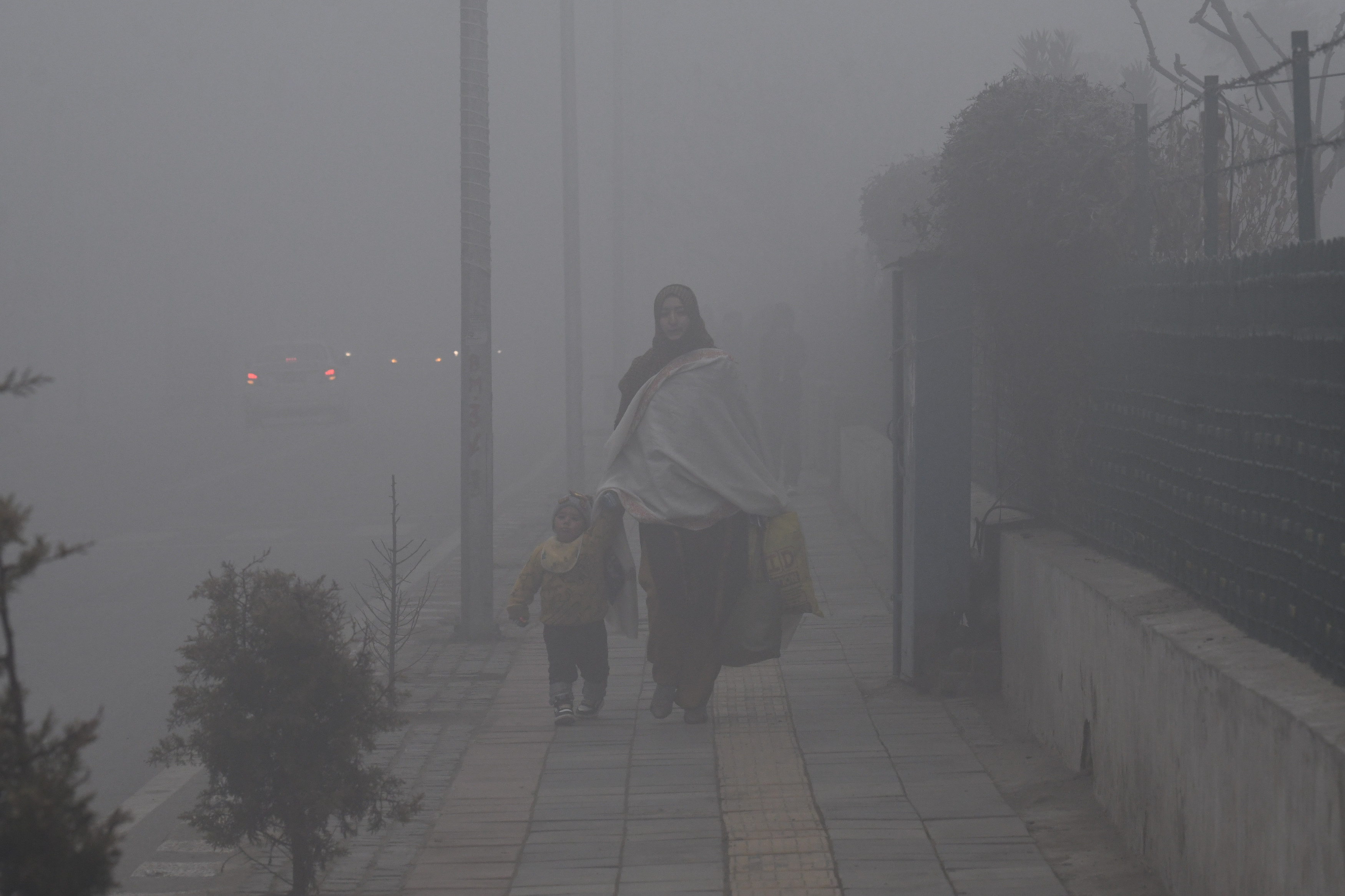 Weather News:&nbsp;एमपी में 7.6 डिग्री सेल्सियस तक गिरा पारा, अभी कोहरे से राहत के नहीं है आसार