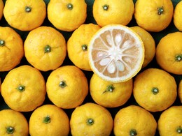 What Is The Fragrant Yuzu Fruit That The Japanese Eat? 3 Interesting Ways To Add It To Your Meals