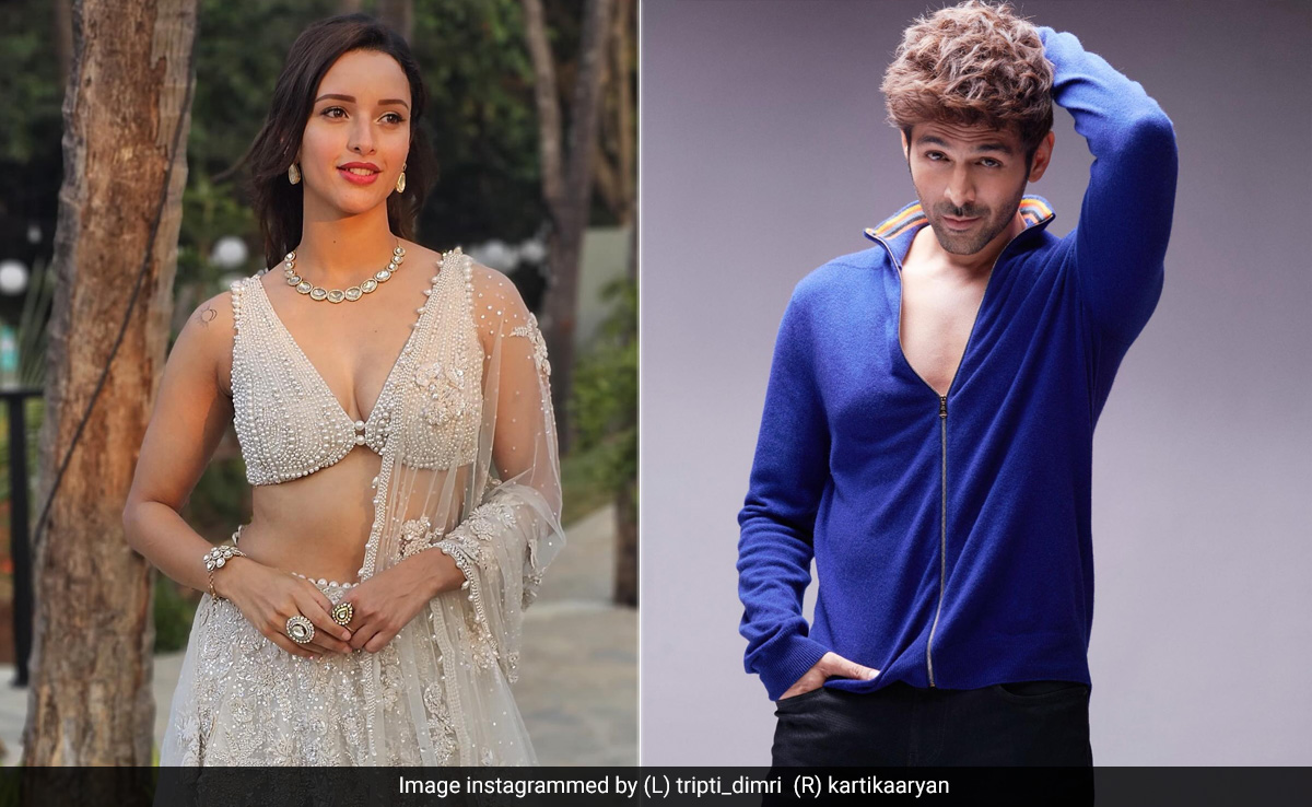 Triptii Dimri To Star Opposite Kartik Aaryan In <i>Aashiqui 3</i>: Report