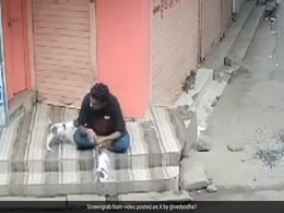 Jyotiraditya Scindia's SOS To Shivraj Chouhan On Animal Cruelty, His Reply Jyotiraditya Scindia's SOS To Shivraj Chouhan On Animal Cruelty, His Reply