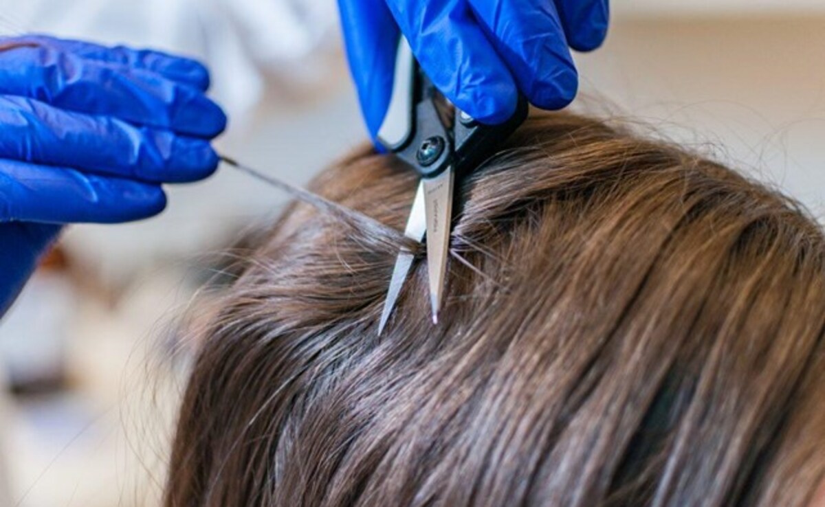 How To Pass A Hair Follicle Drug Test Best Products 2024