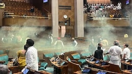 "Parliament Breach Mastermind Associated With Trinamool Youth Wing": BJP