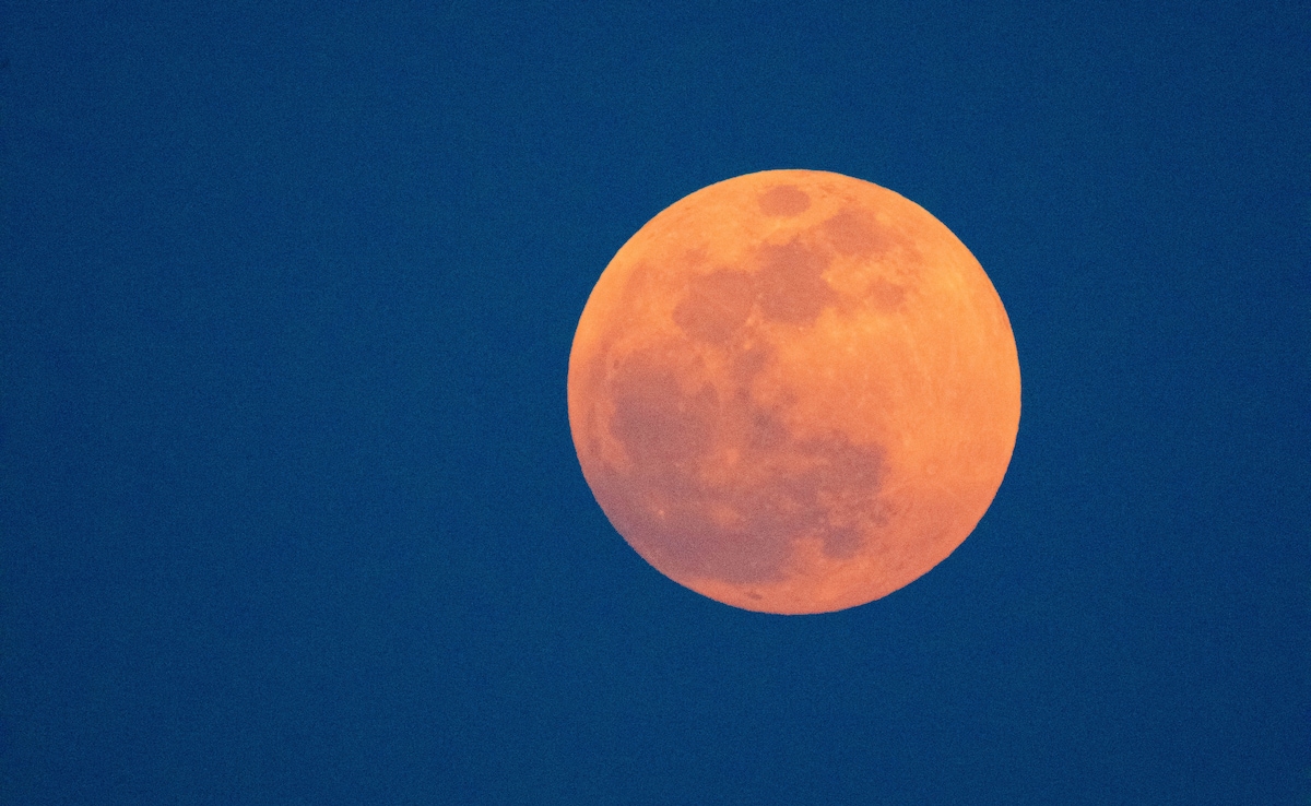 Latest and Breaking News on NDTV