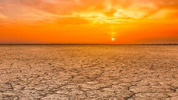 "Deadly Heat" Made 35 Times More Likely Due To Global Warming: Scientists