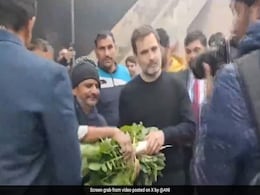 जूजुत्सु, कसरत, बाजरे की रोटी : हरियाणा में राहुल गांधी ने प्रदर्शनकारी पहलवानों से मुलाकात की जूजुत्सु, कसरत, बाजरे की रोटी : हरियाणा में राहुल गांधी ने प्रदर्शनकारी पहलवानों से मुलाकात की