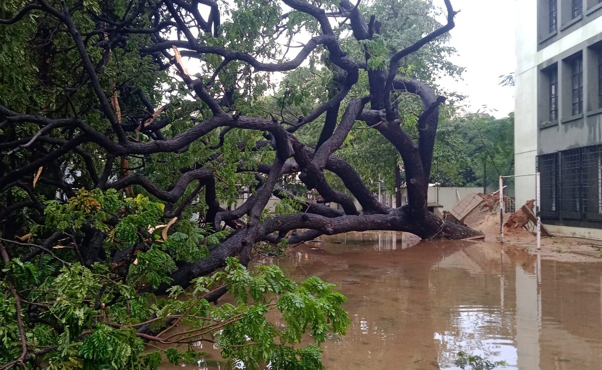 Latest and Breaking News on NDTV Latest and Breaking News on NDTV