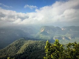 Places to visit in December: अगर आप भी  घूमने का बना रहे हैं प्लान तो MP की ये जगह हैं बेस्ट Places to visit in December: अगर आप भी  घूमने का बना रहे हैं प्लान तो MP की ये जगह हैं बेस्ट