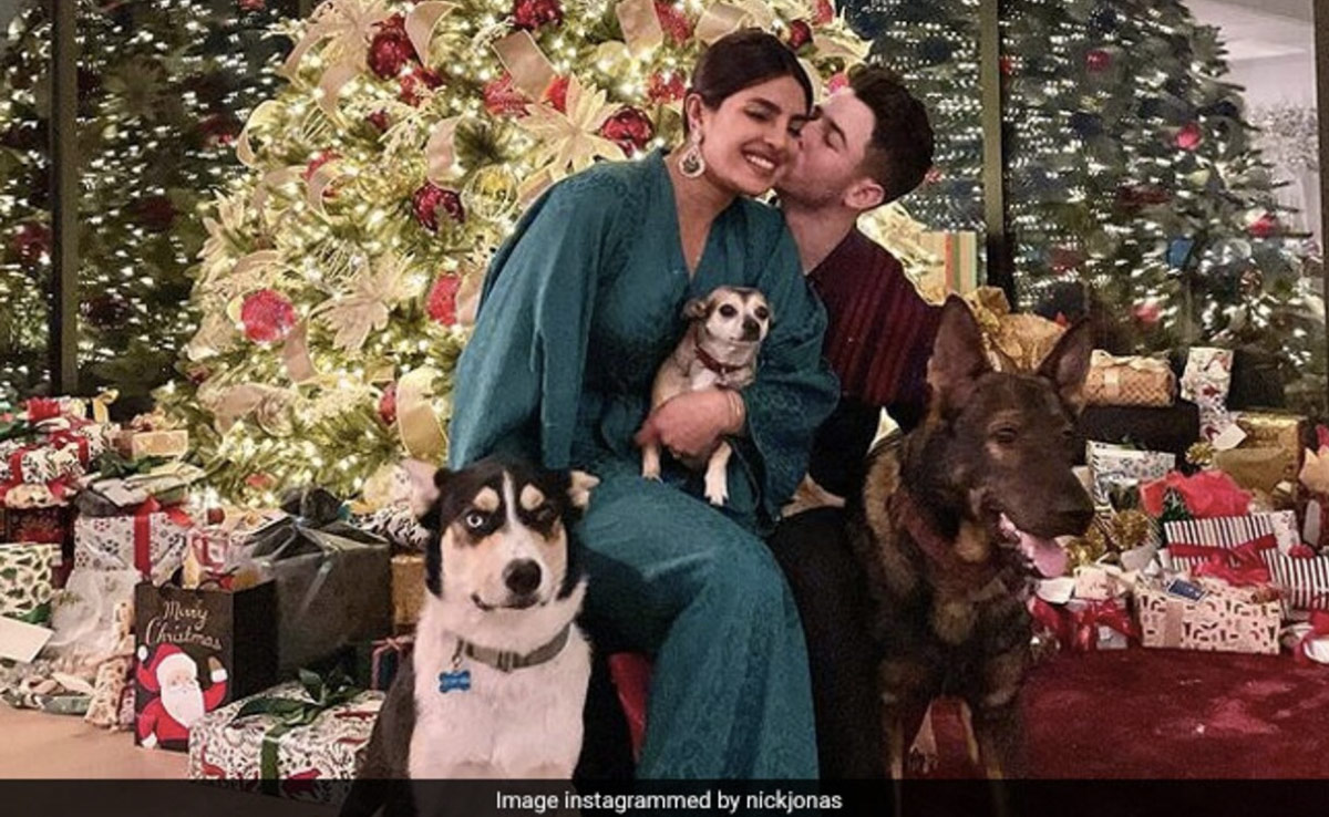 Bollywood News : क्रिसमस की तैयारियों में व्यस्त हैं प्रियंका चोपड़ा, परिणीति भी नहीं हैं पीछे