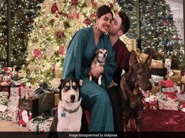 Bollywood News : क्रिसमस की तैयारियों में व्यस्त हैं प्रियंका चोपड़ा, परिणीति भी नहीं हैं पीछे Bollywood News : क्रिसमस की तैयारियों में व्यस्त हैं प्रियंका चोपड़ा, परिणीति भी नहीं हैं पीछे